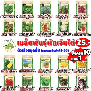 เจียไต๋#8 [10แถม1 เลือกของแถมได้] เมล็ดพันธุ์ผักสวนครัว เจียไต๋25฿ ชุดที่8 เม็ดผัก สลัด แตงโม เมล่อน หน่อไม้ฝรั่ง มะเขือ