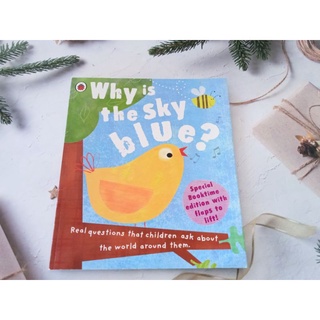 หนังสือปกอ่อน Why is The sky Blue? มือสอง