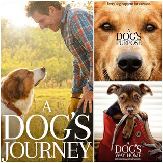 DVD หนังมิตรภาพ-ผจญภัย A Dogs Purpose/A Dogs Jurney/A Dogs Way Home มัดรวม 3 เรื่องประทับใจ #หนังฝรั่ง #แพ็คสุดคุ้ม