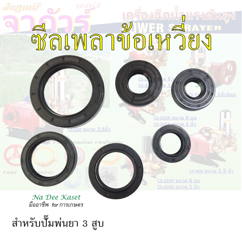 【6.25 Payday 】ซีลข้อเหวี่ยง ซีลเพลาข้อเหวี่ยง ปั๊มพ่นยา 3 สูบขนาด 6หุน 1นิ้ว 1นิ้ว2หุน 1.5นิ้ว 2นิ้ว 2.5นิ้ว