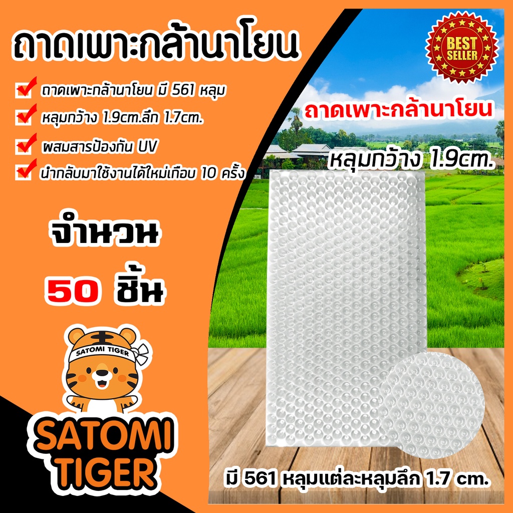 ถาดเพาะกล้านาโยน  561 หลุม จำนวน 50 ชิ้น ถาดนาโยน เพาะกล้าข้าว