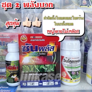 ยาเก็บหญ้าในนาข้าว ปราบหญ้า  (ข้าวไม่แดง ไม่งัน) 1 ชุด น้ำ200 ลิตร