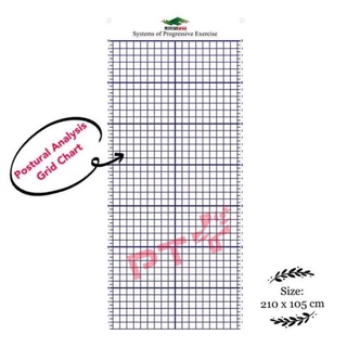 Postural Analysis Grid Chart ตารางวิเคราะห์ท่าทางของร่างกาย