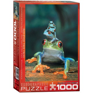 จิ๊กซอว์ 1000 pc PUZZLE EUROGRAPHICS - RED-EYED TREE FROG