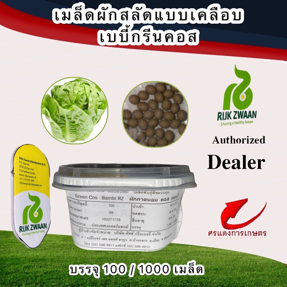 เมล็ดพันธุ์ ผักสลัดเบบี้คอส , กรีนคอส 1,000 เมล็ด