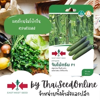 GGEW เมล็ดพันธุ์ซฟ แตงร้าน จัมโบ้กรีน 70เมล็ด ตราศรแดง Cucumber
