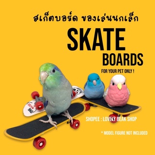 สเก็ตบอร์ด ของเล่นนกเล็ก skateboard สเก็ตบอร์ดของเล่นสัตว์เลี้ยง