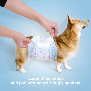 โอบิผ้าอ้อมสุนัข 3ลาย เพศผู้ Petsoft ซึมซับดีมากตลอดคืน ขอบยางนุ่ม เนื้อผ้านิ่มสบาย มี 3 ลายในห่อเดียว