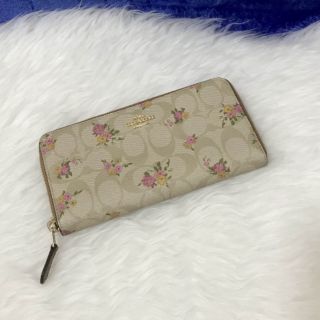 COACH F31778 ACCORDION ZIP WALLET IN SIGNATURE CANVAS WITH DAISY BUNDLE PRINT
 light khaki/multi/imitation gold