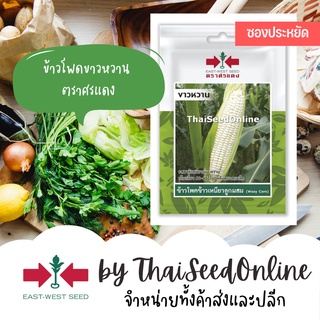 VP3 ซฟ เมล็ดพันธุ์ ข้าวโพดข้าวเหนียวลูกผสม ขาวหวาน 20เมล็ด ตราศรแดง Corn