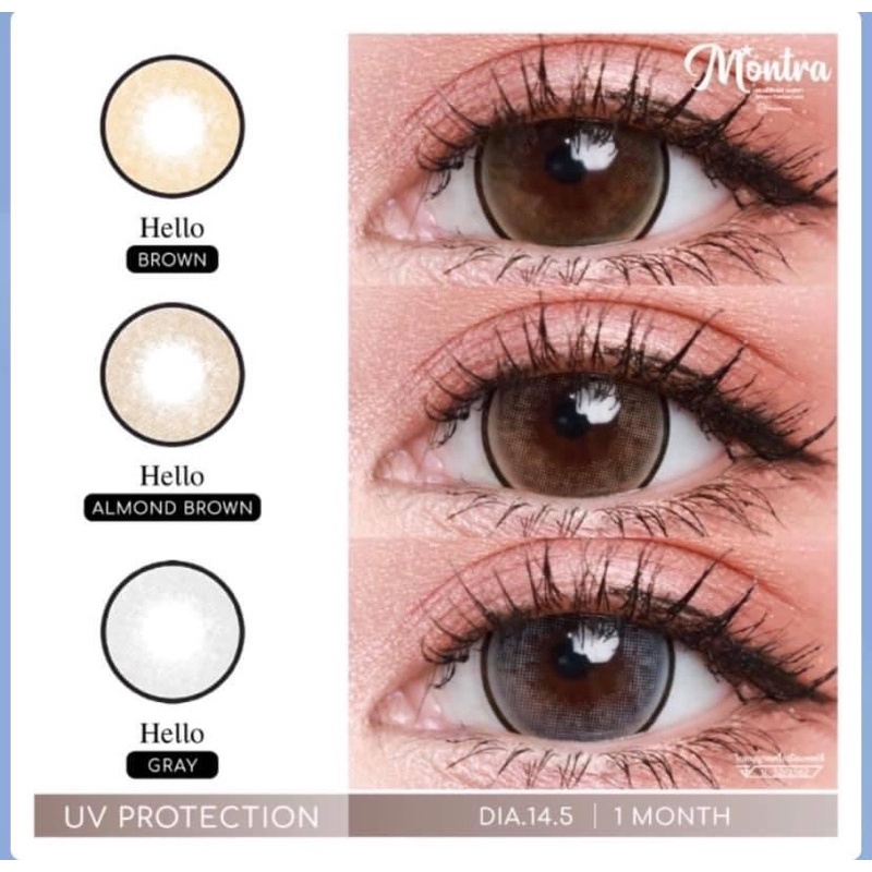 Montra ( Hello almond brown )ตาโต
