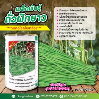 เมล็ดพันธุ์ถั่วฝักยาวสายพิรุณ (seedline) ขนาด 500 กรัม