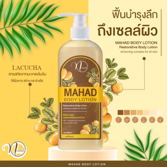 ✨โลชั่นมะหาดเข้มข้น Normal แก่นมะหาดแท้ ขาววิ้ง (500ml) ราคา ถูกที่สุด ดีลบีเคเค