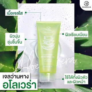 VANEKAA ALOE VERA REFRESHING GEL280g วานีก้า อโลเวร่า รีเฟรชชิ่ง เจล เจลว่านหางจระเข้ บำรุงผิวหน้า ผิวขาวใส เนียนนุ่ม