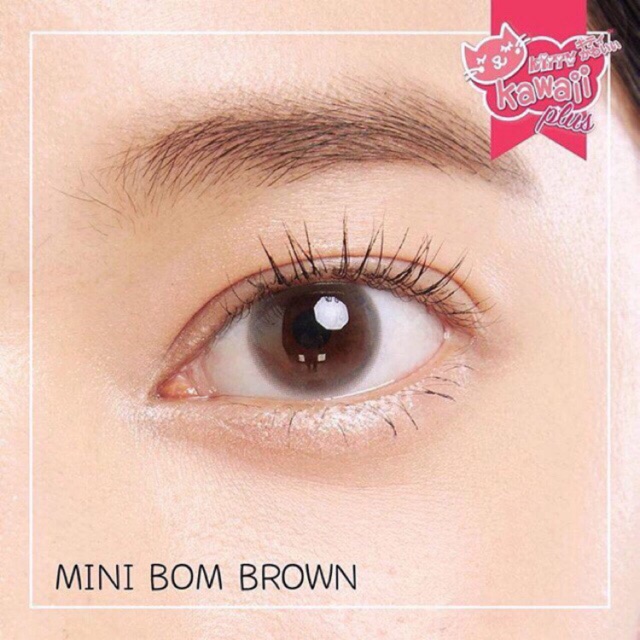 คอนแทคเลนส์ mini bom brown ค่าสายตา-1.00 คอนแทคเลนส์Kitty Kawaii