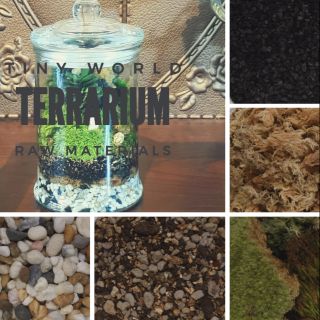 ชุดวัตถุดิบปลูกสวนในขวดแก้ว terrarium premium materials for 4-5 square inc