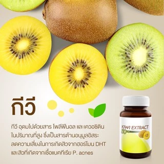 Vistra Gotu Kola Extract plus Zinc // Kiwi Extract