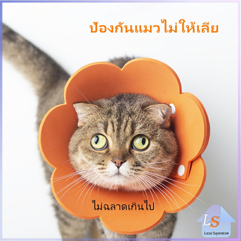 ปลอกคอดอกไม้ ลำโพงกันเลีย คอลล่าแมว คอลล่าสุนัข Cat coll