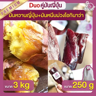 แพ็คคู่ถูกกว่า มันหวานญี่ปุ่น เบนิฮารุกะ 3kg + มันหนึบม่วง 250g  มันหวานญี่ปุ่นนำเข้า มันหนึบ โอกินาว่า