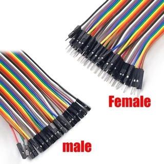 สายจัมป์เปอร์ 10cm 20cm 30cm ขนาด40pin ผู้เมีย ผู้ผู้ เมียเมีย สายแพ สีรุ่ง
