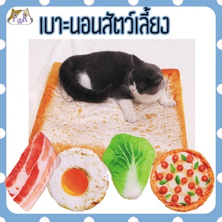 เบาะนอนสัตว์เลี้ยง ที่นอนหมา แมว pet bed [เบาะ]