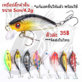 เหยื่อปลั๊กดำตื้น แก้แอคใหม่พร้อมใช้ ขนาด 5cm/4.2g