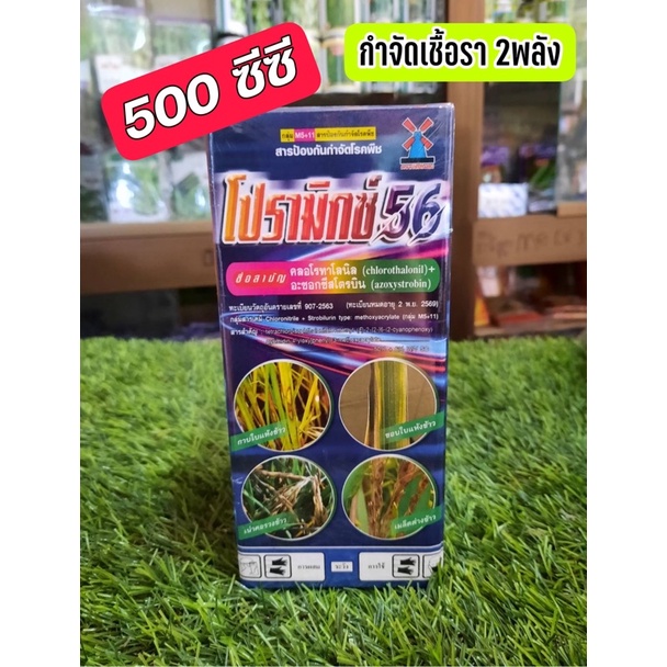 โปรามิกซ์ 56 (500 ซีซี) 1 ขวด คลอโรทาโลนิล+อะซอกซีสโตบิน สารกำจัดเชื้อรา2พลัง ฟิวซาเรียม กุ้งแห้งพริก ใบจุด ใบเน่า