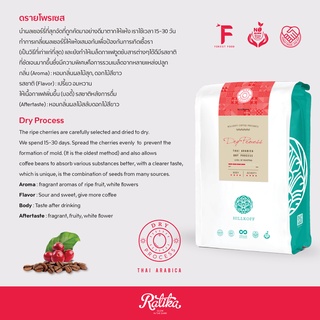 Ratika | เมล็ดกาแฟอราบิก้าคั่ว ดรายโพรเซส 100% ตรา ฮิลล์คอฟฟ์ (Medium Roast) : THAI ARABICA Dry Process ยิ่งซื้อ ยิ่งลด