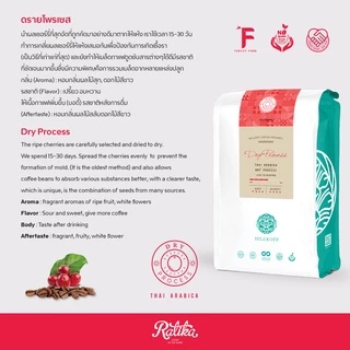 Ratika | เมล็ดกาแฟอราบิก้าคั่ว ดรายโพรเซส 100% ตรา ฮิลล์คอฟฟ์ (Medium Roast) : THAI ARABICA Dry Process