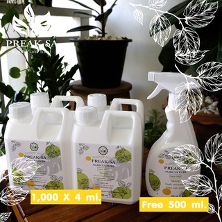 Promotion set refillx4 free spray ปุ๋ยฮอร์โมนไม้ประดับ สูตรเร่งใบเขียวเร่งแตกใบอ่อน (คละสูตรได้)