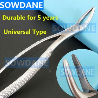 Dental Root Fragment Minimally Invasive Tooth Extraction Forcep Dentist Instrument Curved Universal Type for Adult and C