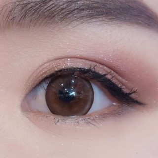 Amethyst Brown บิ๊กอาย สีน้ำตาล น้ำตาล โทนแบ๊ว เรียบร้อย สุภาพ Sweety+ Contact Lens Bigeyes คอนแทคเลนส์ ค่าสายตา สายตาสั