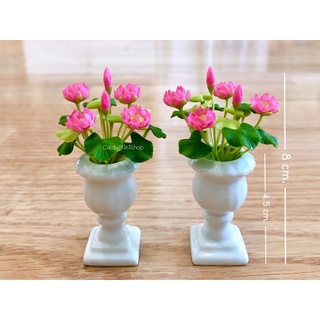 ดอกบัวชมพูจิ๋ว ในกระถางเซรามิคทรงโรมันสีขาว สูง 4.5 cm.