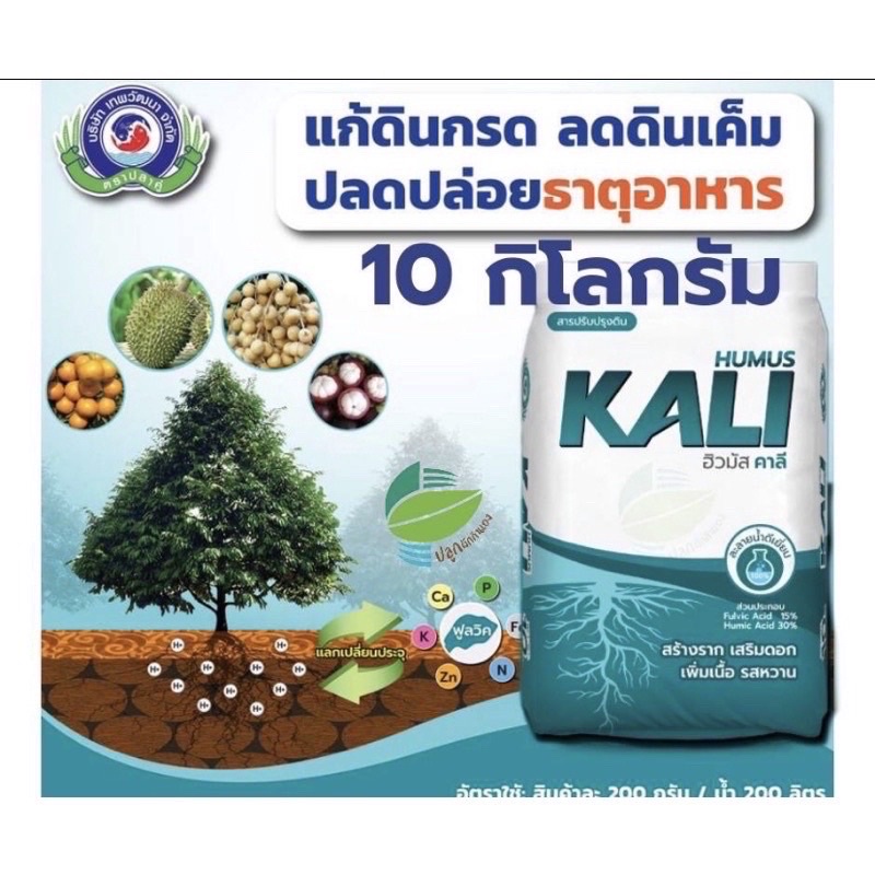💥ฮิวมัส คาลี💥พร้อมส่งค่ะ (สารปรับปรุงดิน) ขนาด 10 กก.แนะนำผสมกับสารแพคโคบิวทราซอลเพื่อราดรอบทรงพุ่มไม้ผลต่างๆใด้ดี