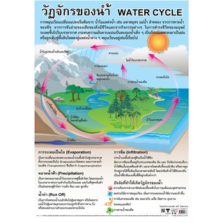 โปสเตอร์วัฎจักรของน้ำ  โปสเตอร์กระดาษ #EQ-188 โปสเตอร์สื่อการเรียนการสอน