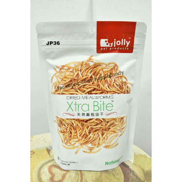 アイテムID:5182483の画像1枚目