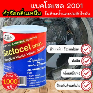 🌈 หัวเชื้อจุลินทรีย์ กำจัดกลิ่นส้วม 🌈 แบคโตเซล 2001 กำจัดกลิ่นถังบำบัด กำจัดกลิ่นเหม็น บ่อดักไขมัน 1000 กรัม