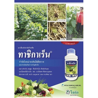 ทาชิกาเร็น 500 ซีซี  (ไฮเมซาโซล 36%  W/V  SL) กำจัดโรคเน่าคอดิน ได้เด็ดขาด