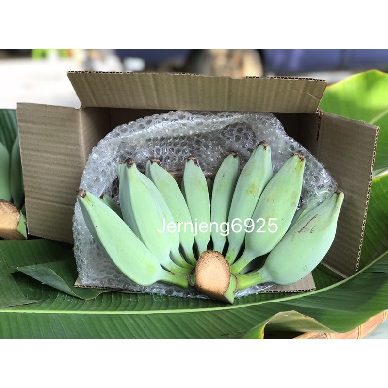 กล้วยหักมุก  กล้วยปิ้ง ปลอดสาร เมืองเพชรบุรี ( พร้อมส่ง )  60 บ./ หวี  🌱ตัดตามออเดอร์ )