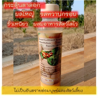 ฮอร์โมนไข่ 250ml. เร่งออกดอก ผักสวนครัวหวานกรอบ