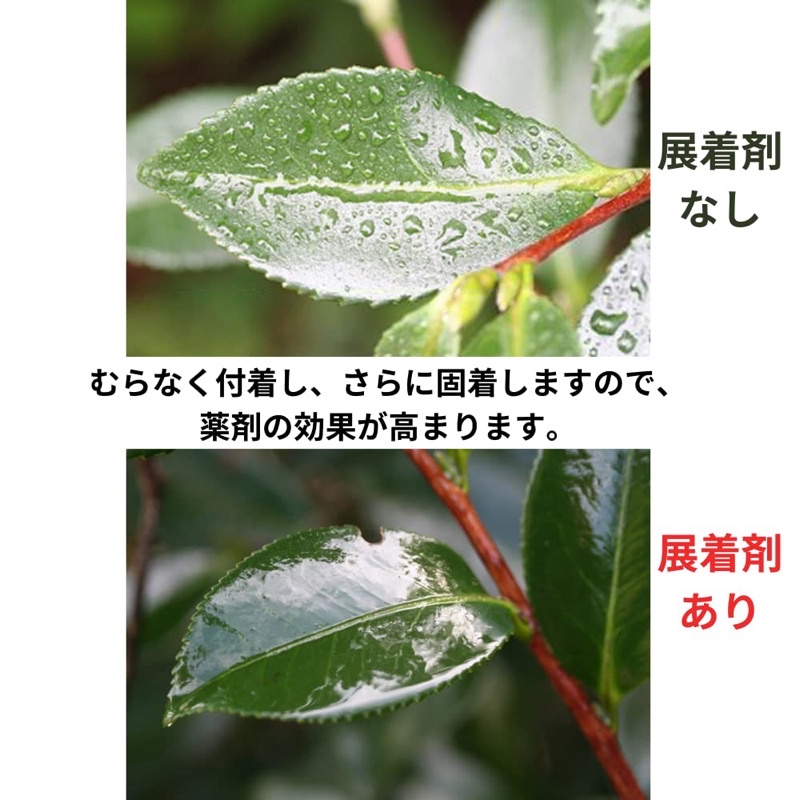 สารจับใบ Dine จาก Sumitomo Chemical 100 ml. รูปที่ 2