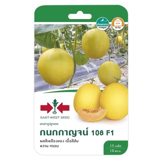 แตงแคนตาลูบ F1 กนกกาญจน์ 108 ศรแดง CANTALOUPE SEED EAST-WEST SEED KANOKKARN 108 F1