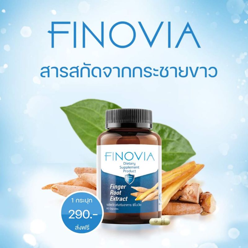 Finovia ถูกที่สุด พร้อมโปรโมชั่น ก.พ. 2026 | BigGoเช็คราคาง่ายๆ