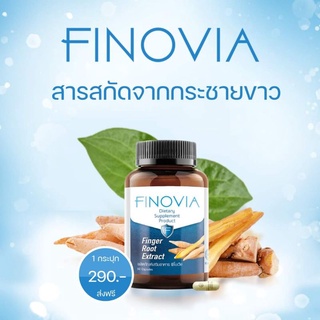 {เสริมภูมิ} Finovia ฟิโนเวีย สารสกัดกระชายขาว บรรจุ 60 แคปซูล จัดส่งฟรี