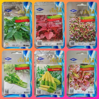 เมล็ดพันธุ์ผัก เจียไต๋ ผักซอง 9 บาท ผักโขม ผักโขมแดง ผักโขมใบกระ คื่นฉ่ายฝรั่ง ข้าวโพดอ่อน ข้าวโพดฝักอ่อน  ผักกาดหอมม่วง