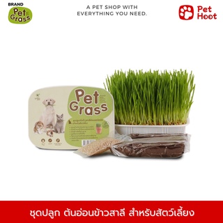 Pet Grass ชุดปลูก ต้นอ่อนข้าวสาลีอ่อน ออร์แกนิค สำหรับสัตว์เลี้ยง