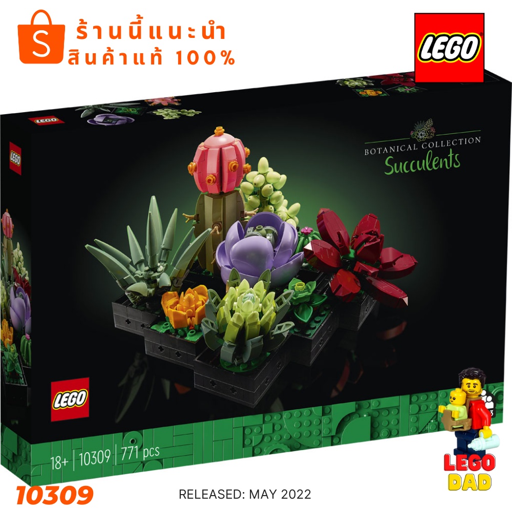 เลโก้ Lego 10309 Succulents (Creator Expert-Botanical Collection) #เลโก้ #Lego DAD
