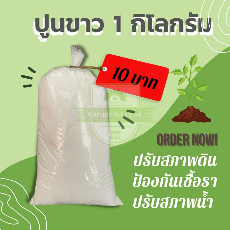 ปูนขาว ปรับสภาพดิน แก้ดินเปรี้ยว ฆ่าเชื้อรา ปรับสภาพน้ำ ปูนโรยเส้น