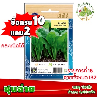 (ซื้อ10แถม2) เมล็ดพันธุ์ ชุนฉ่าย Leaf mustard ประมาณ 4,400เมล็ด เจียไต๋ เมล็ดพันธุ์พืช เมล็ดพันธุ์ผัก เมล็ดผัก เม็ดผัก