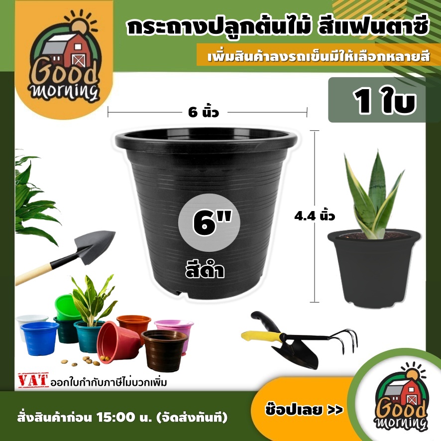 GOOD กระถาง 6 นิ้ว สีแฟนตาซี *มีให้เลือกหลายสี* กระถางปลูกต้นไม้